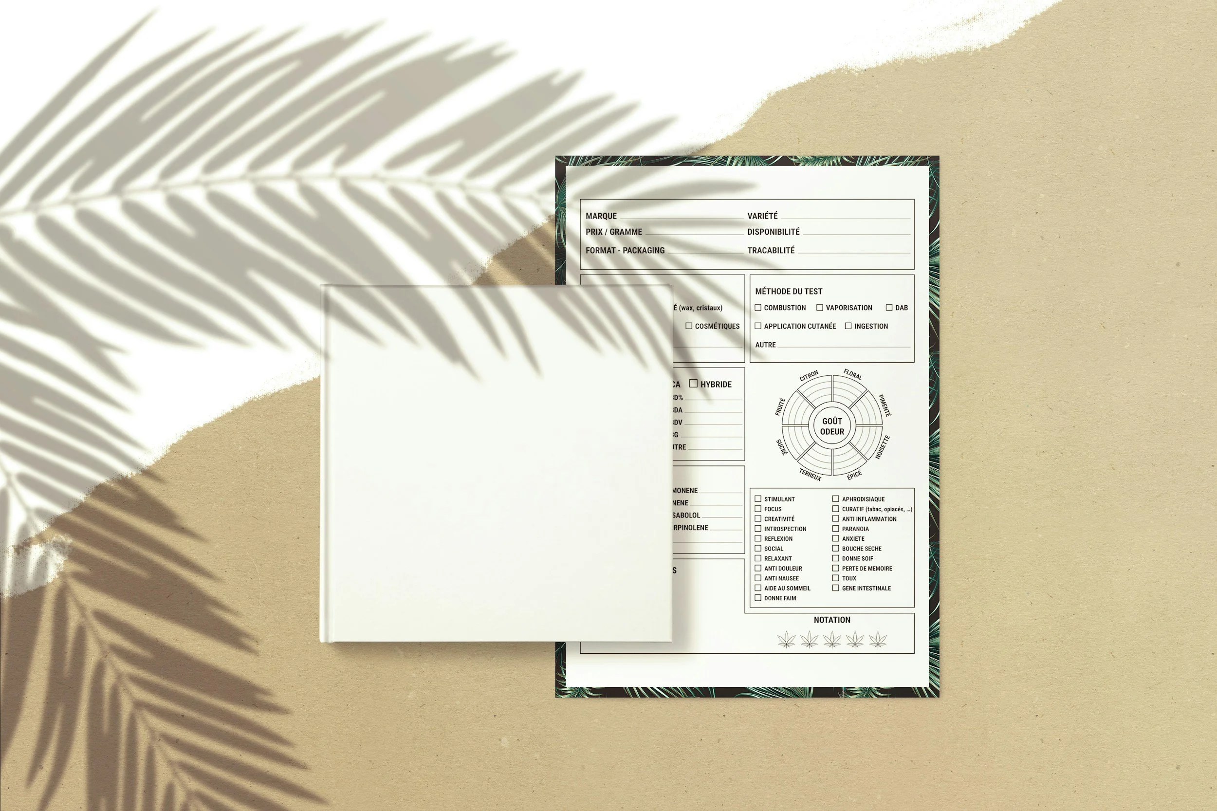 Une fiche d'évaluation ou de test médico-légal sur un fond beige avec une ombre de feuilles de palmier en haut à gauche, avec un livre blanc posé à côté.
