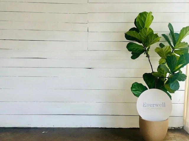 A potted fiddle leaf fig plant with large green leaves, placed against a white wooden wall, with a sign that says 'Everwell Collaborative' on the pot.