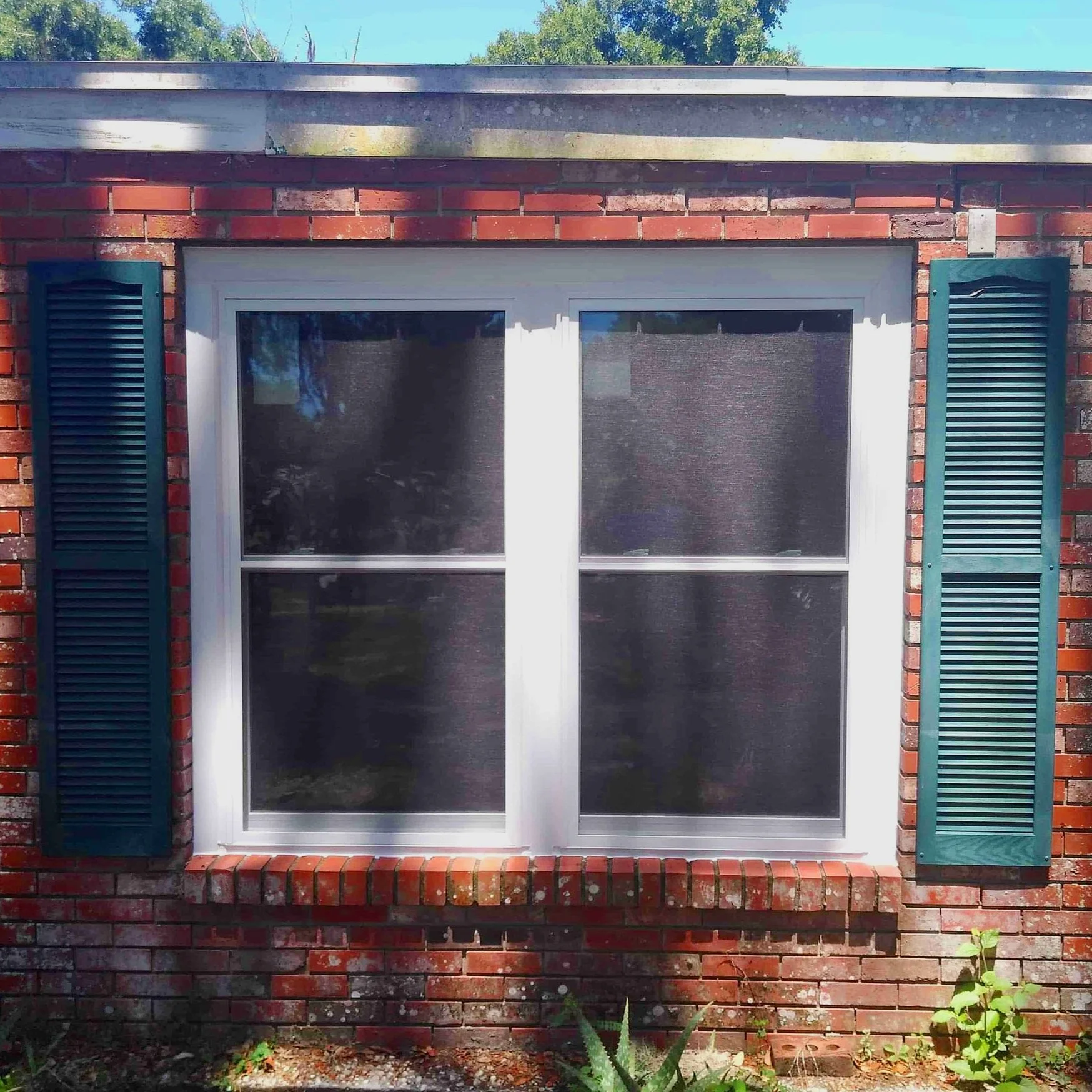 Home with new windows