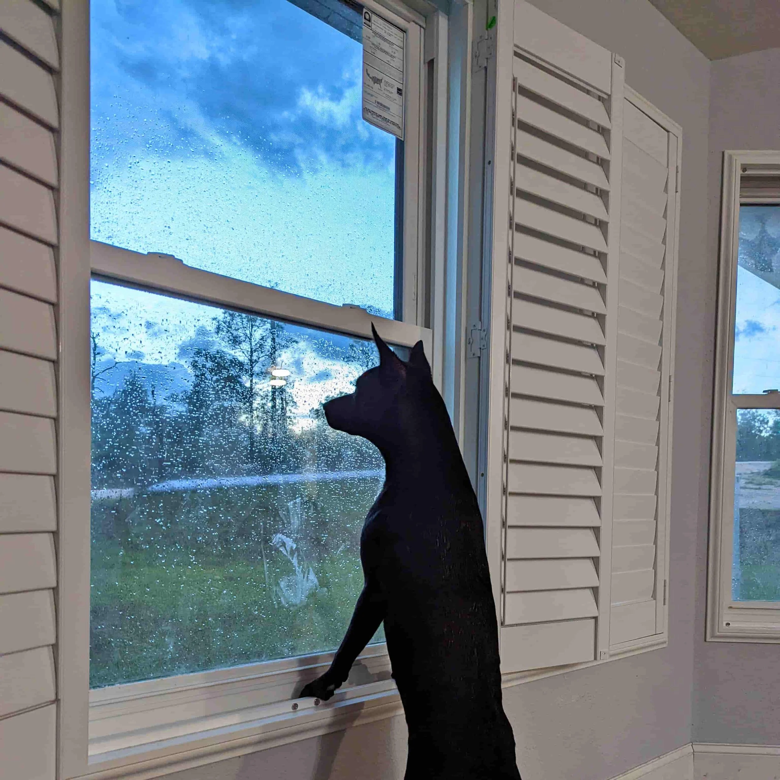 Window replacement