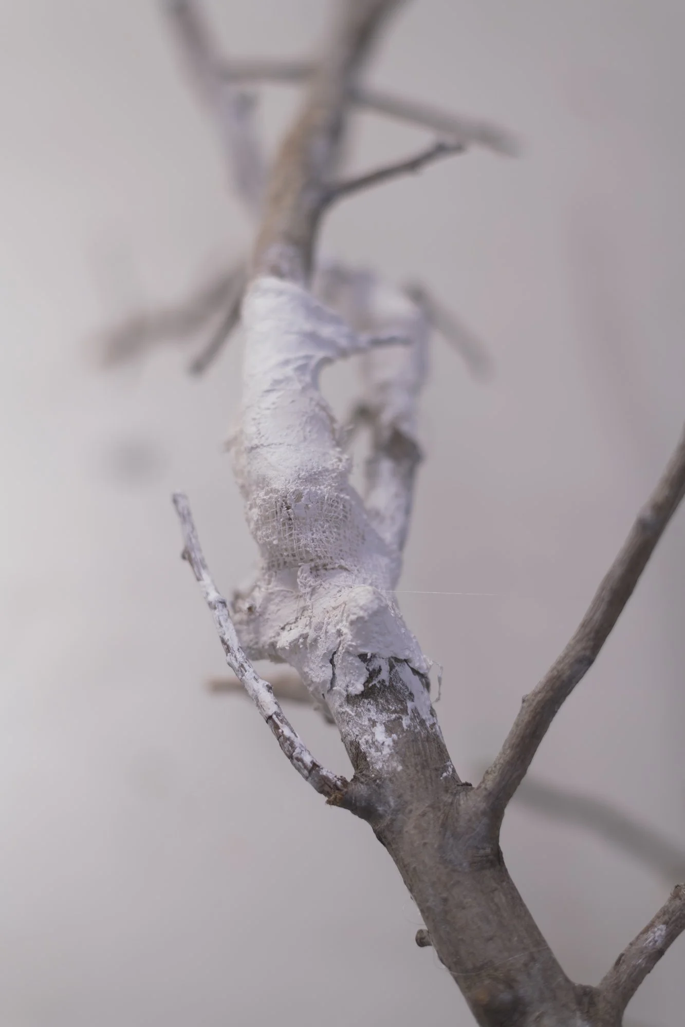 QSS-MFA1-23-159.jpg