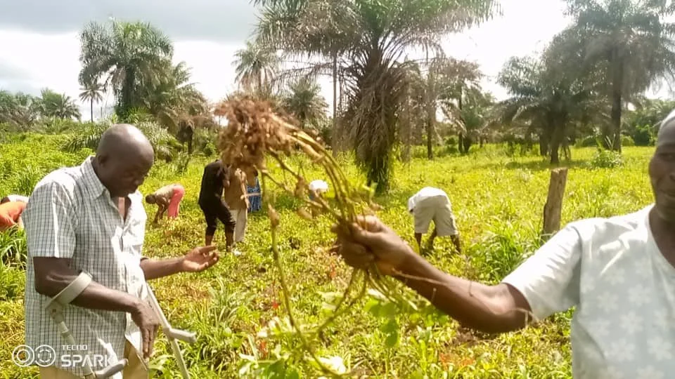 WhatsApp Image 2025-08-26 at 19.39.41 (1).jpeg