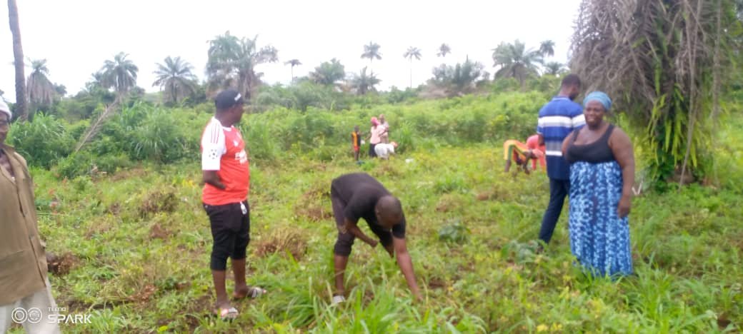 WhatsApp Image 2025-08-26 at 19.39.40 (1).jpeg