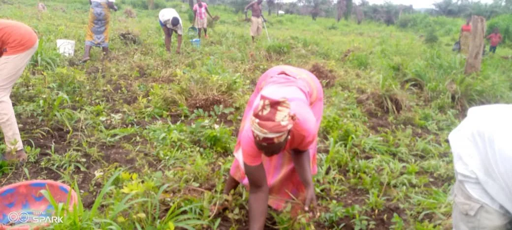 WhatsApp Image 2025-08-26 at 19.39.40.jpeg