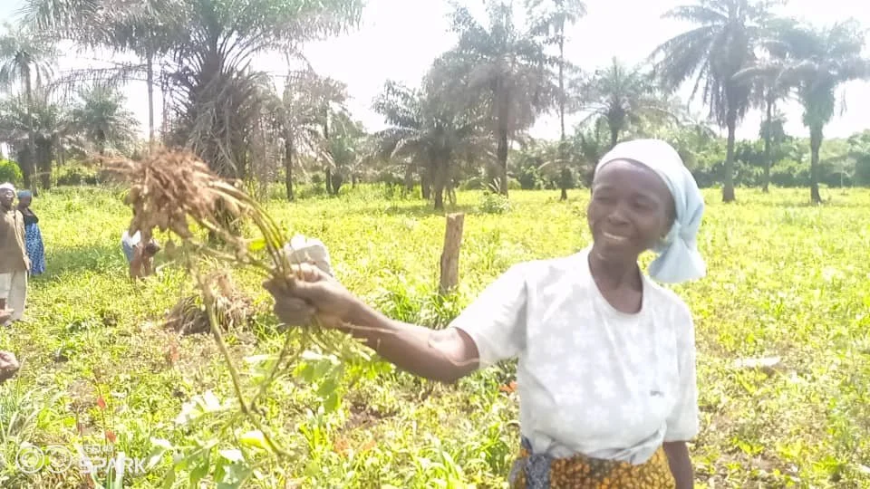 WhatsApp Image 2025-08-26 at 19.39.41 (2).jpeg