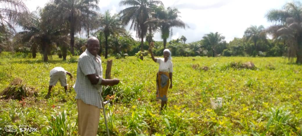 WhatsApp Image 2025-08-26 at 19.39.42.jpeg