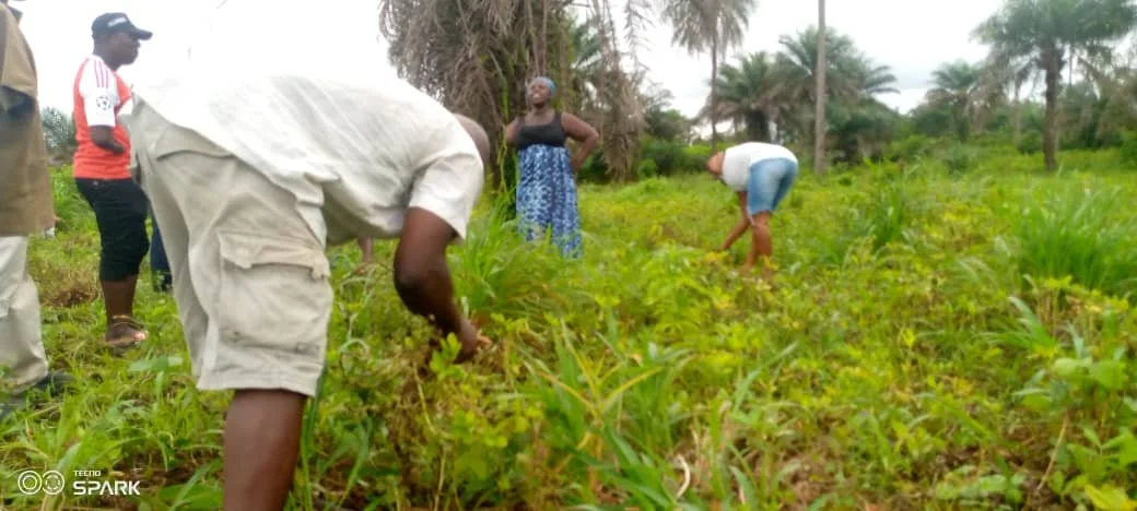 WhatsApp Image 2025-08-26 at 19.39.41.jpeg