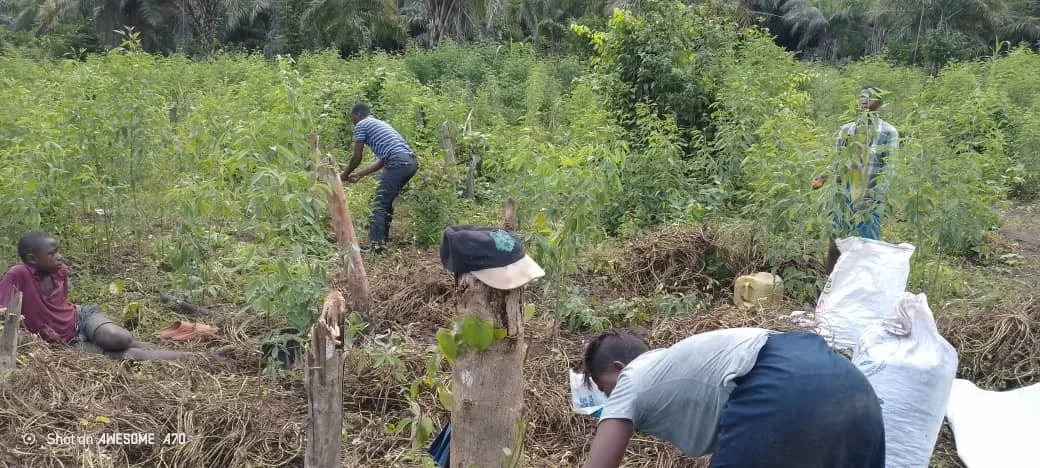 WhatsApp Image 2025-08-27 at 10.16.44.jpeg