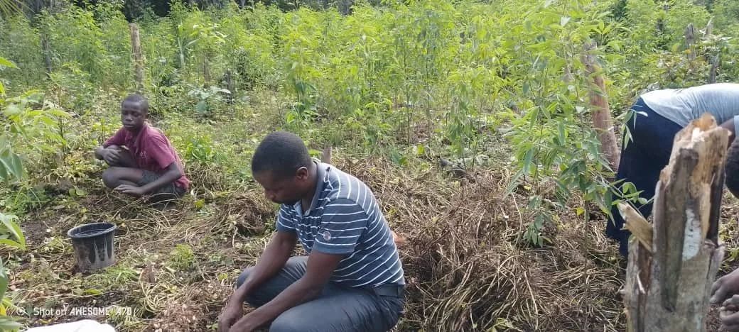 WhatsApp Image 2025-08-27 at 10.16.58.jpeg