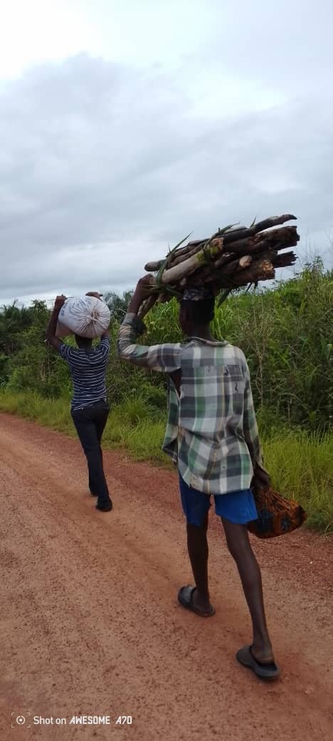 WhatsApp Image 2025-08-27 at 10.16.33 (1).jpeg