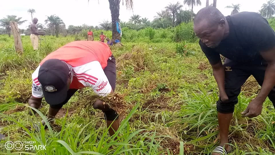 WhatsApp Image 2025-08-26 at 19.39.33 (1).jpeg