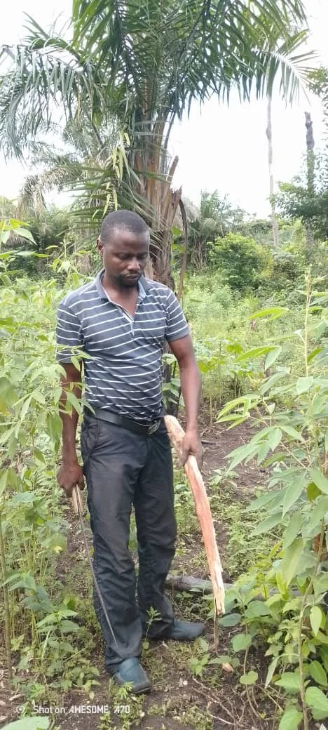 WhatsApp Image 2025-08-27 at 10.16.42.jpeg