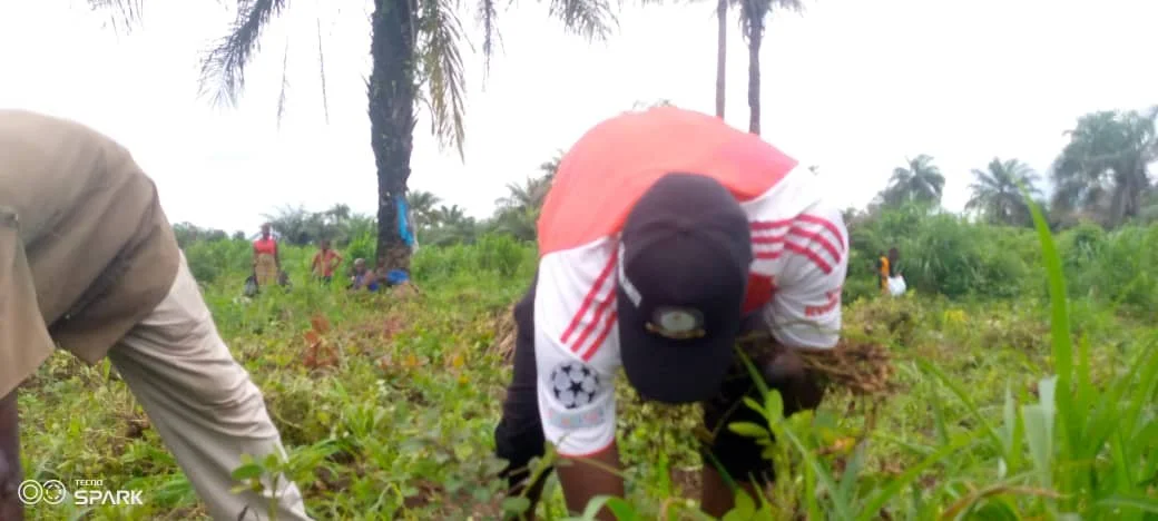 WhatsApp Image 2025-08-26 at 19.39.33.jpeg