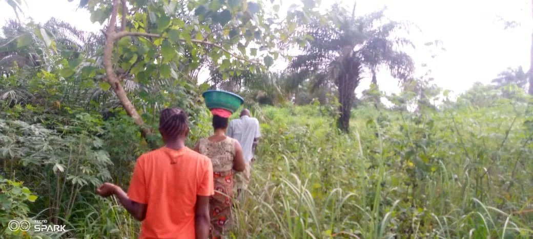 WhatsApp Image 2025-08-26 at 19.39.44.jpeg