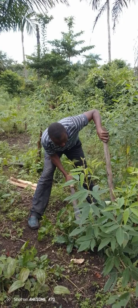 WhatsApp Image 2025-08-27 at 10.16.41.jpeg