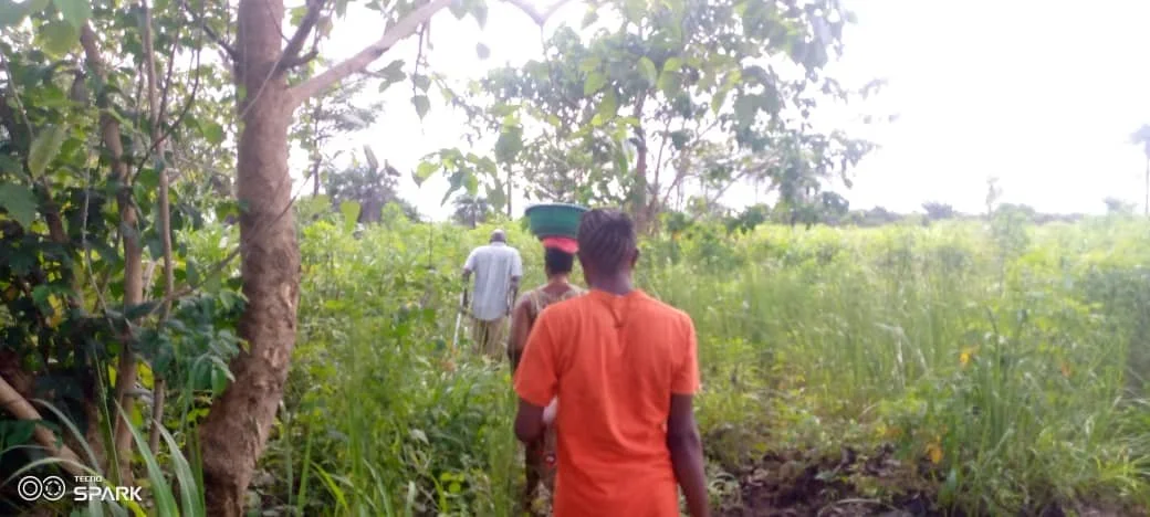 WhatsApp Image 2025-08-26 at 19.39.45.jpeg