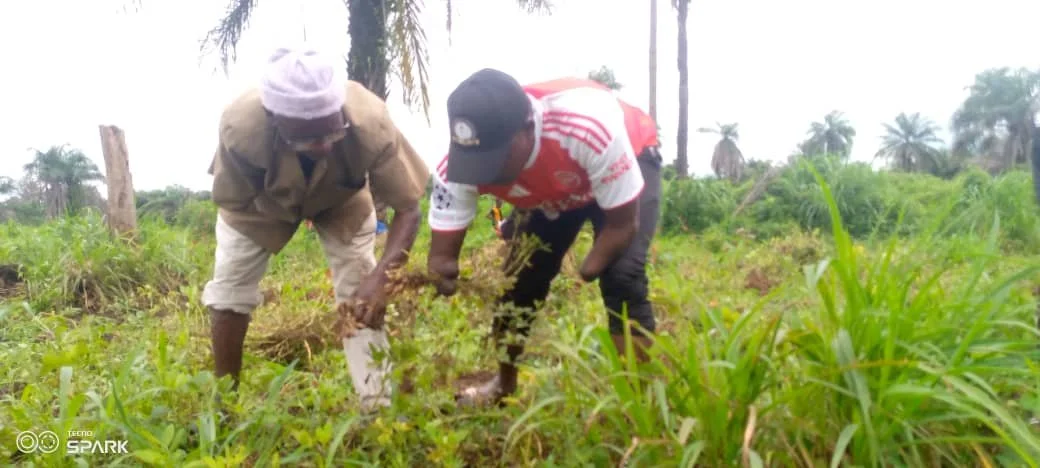 WhatsApp Image 2025-08-26 at 19.39.36 (1).jpeg