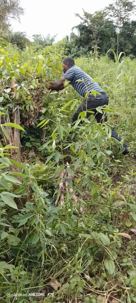 WhatsApp Image 2025-08-27 at 10.16.39.jpeg