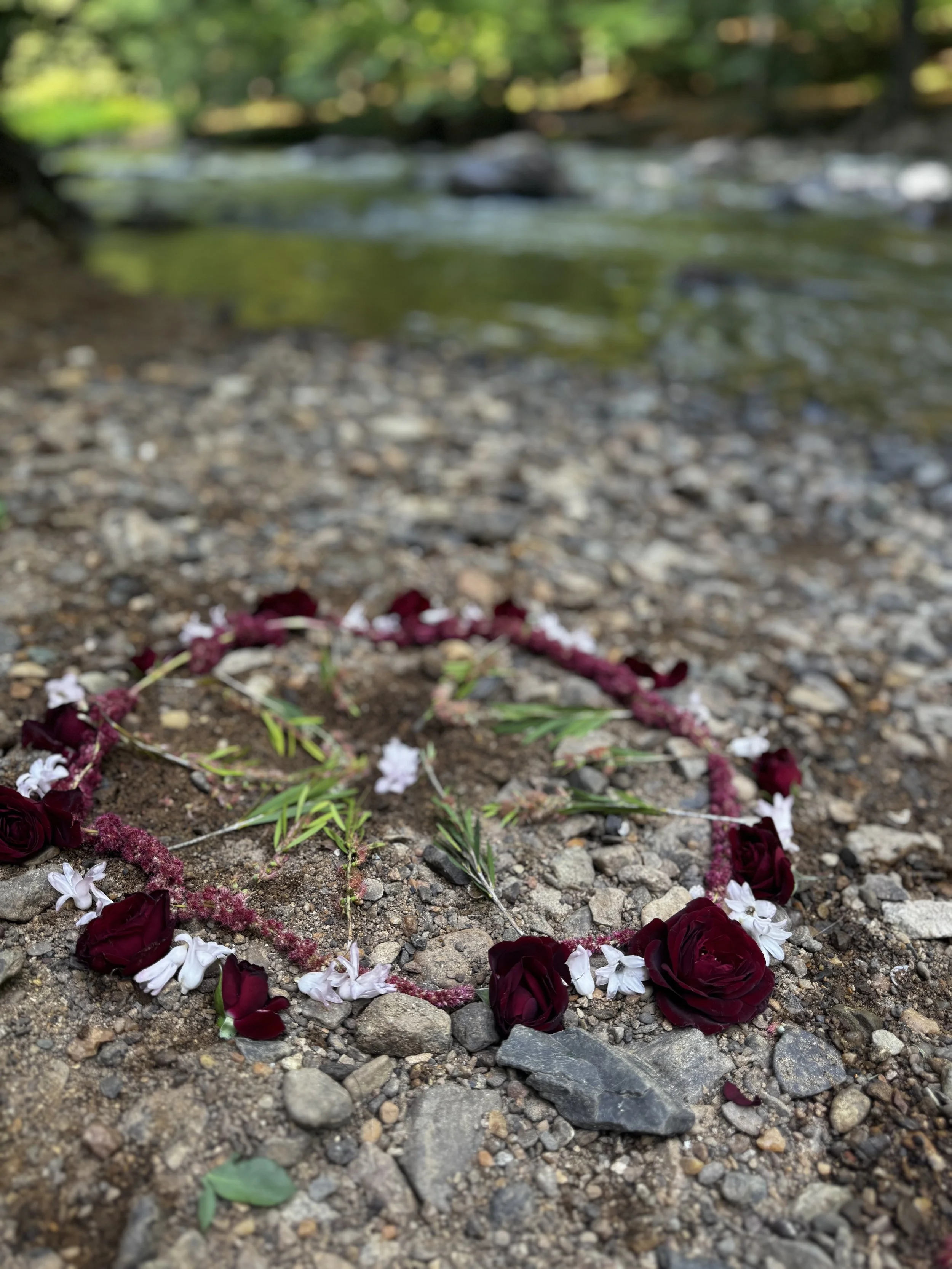 What Is Whole with Joy?  