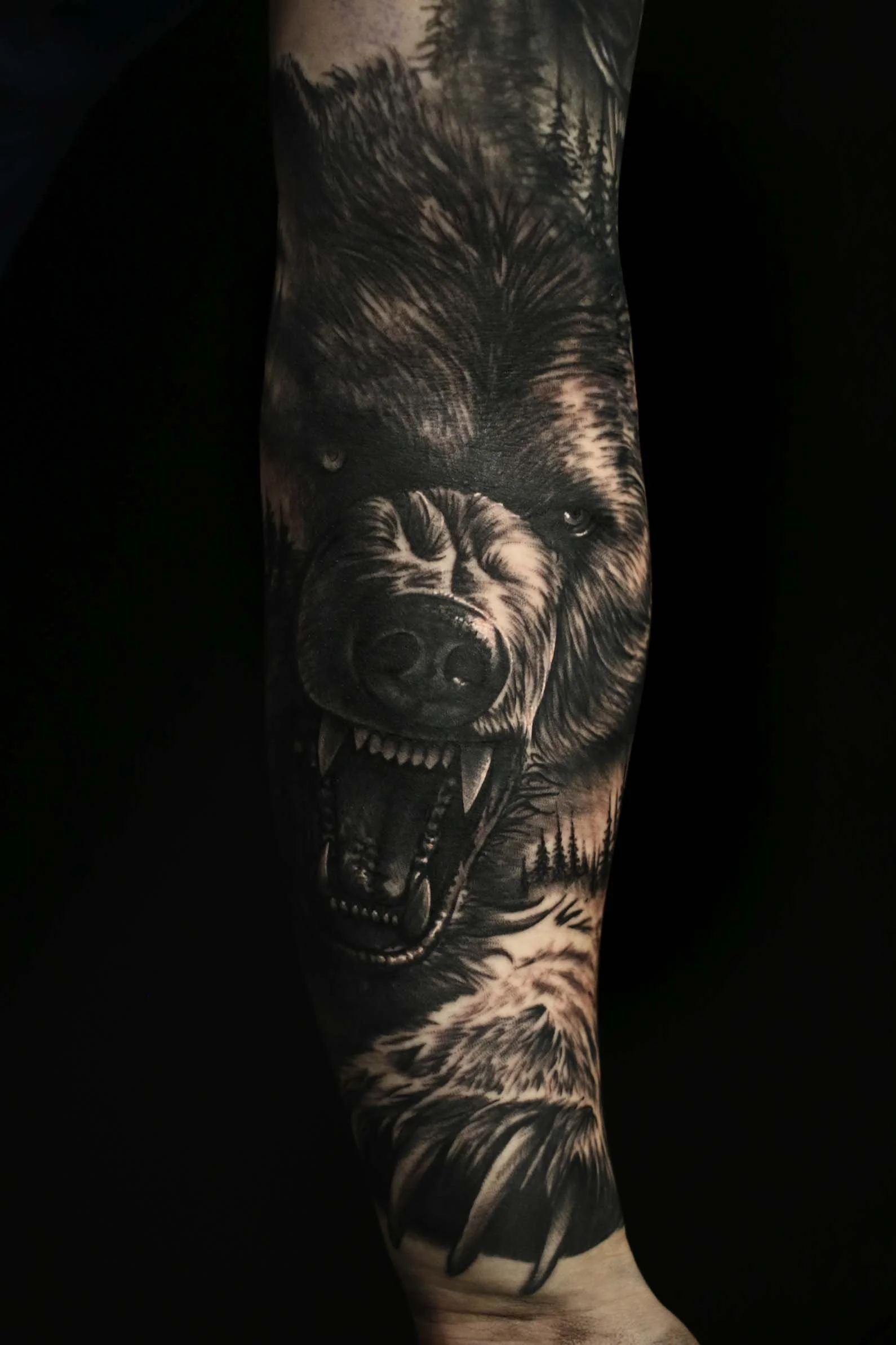 Black and grey realism tattoo of a bear on forearm by Sheffield tattoo artist Josh Askew