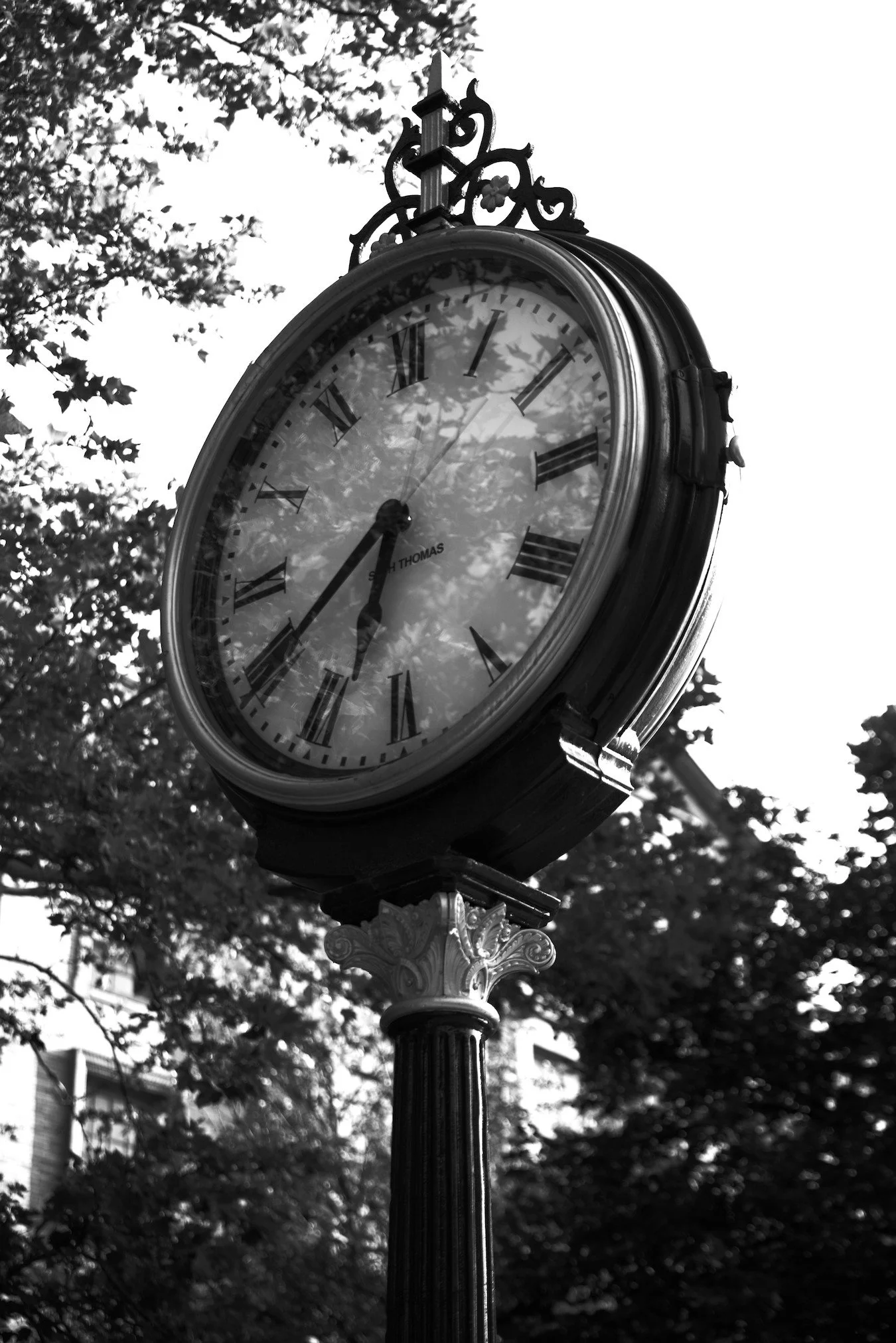 A vintage street clock with Roman numerals, showing approximately 6:43, reflects tree branches and leaves on its glass face.