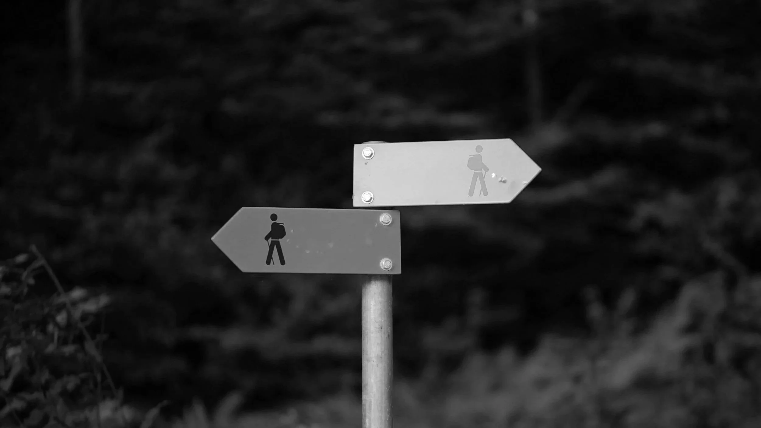 Common PMO Models Explained