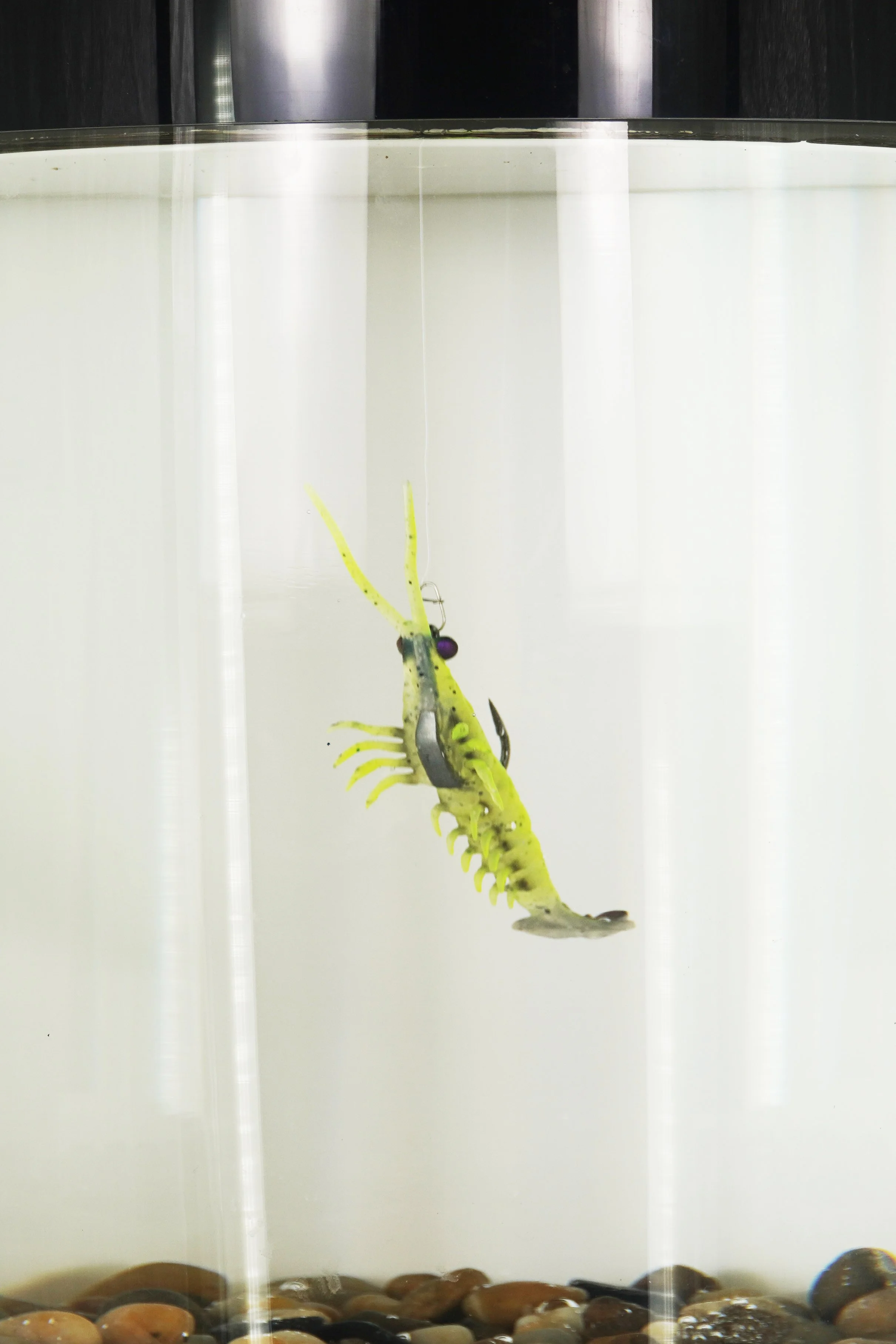 Prawn Star 3.jpg