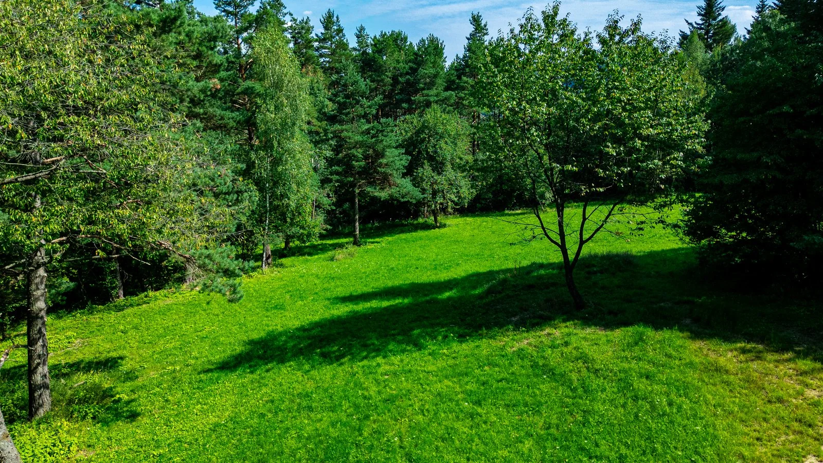 Działka - Rzepedź