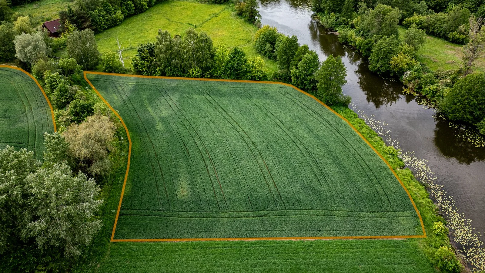 Działka - Białobrzegi