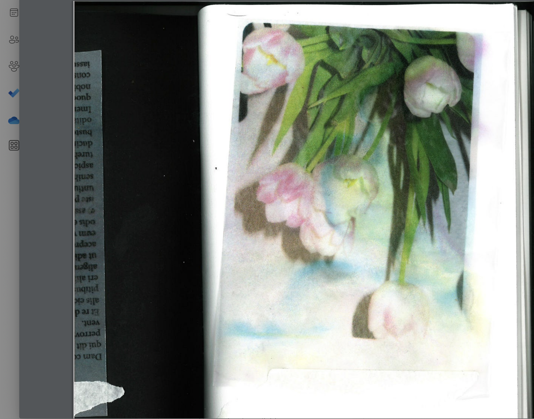 Screen Shot 2024-03-20 at 4.52.04 PM.png