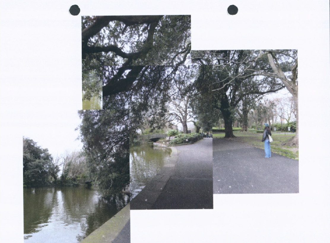 Screen Shot 2024-10-22 at 9.38.01 AM.png