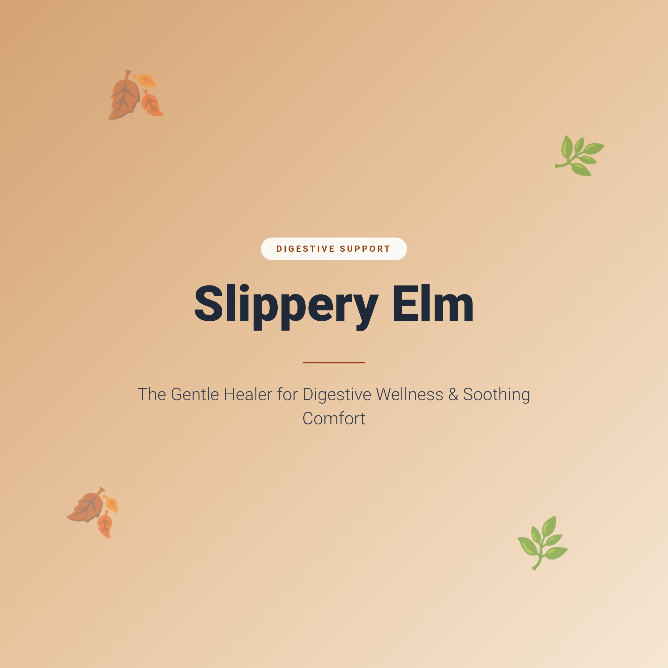Slippery Elm: The Gentle Healer for Digestive Wellness