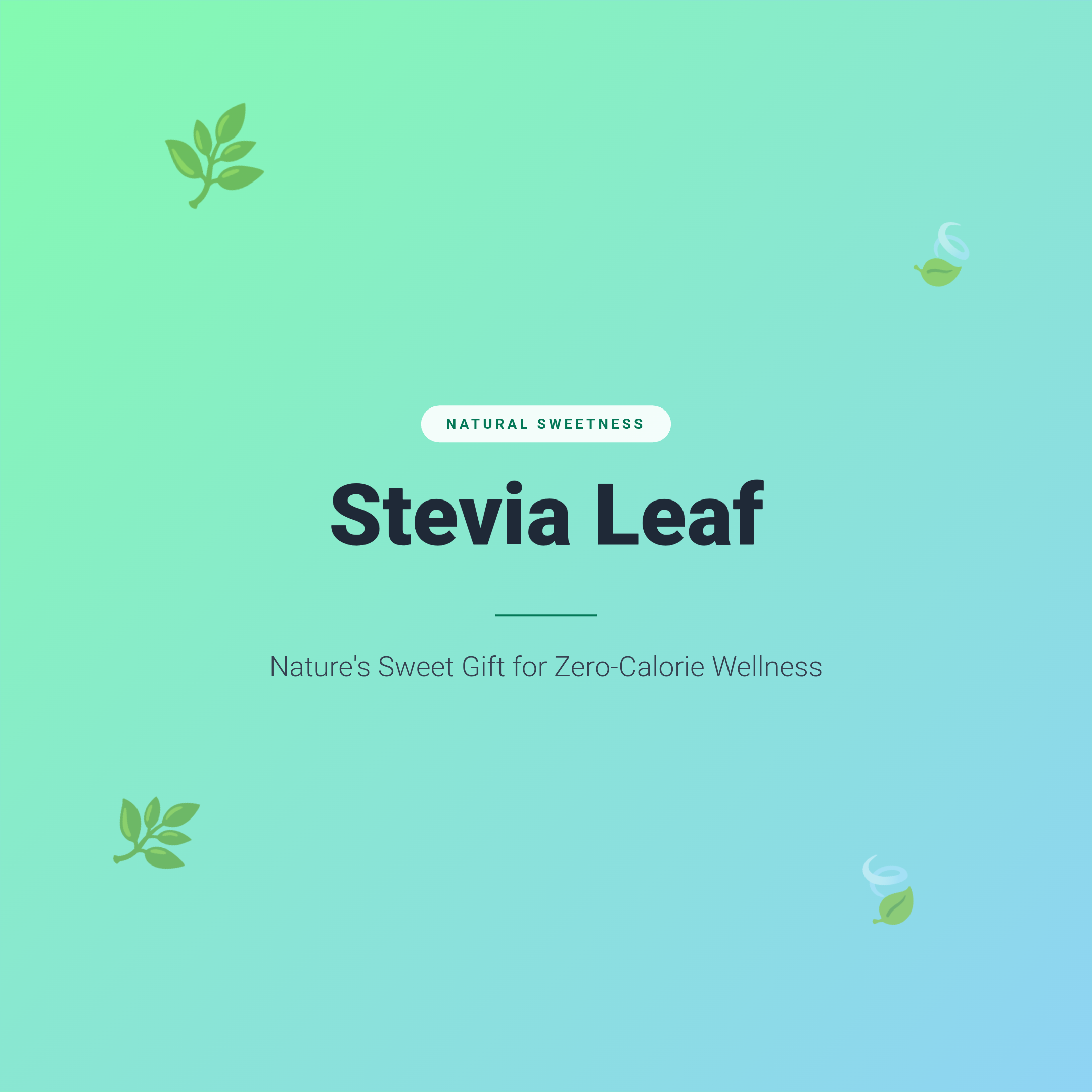 Stevia Leaf: Nature's Sweet Gift