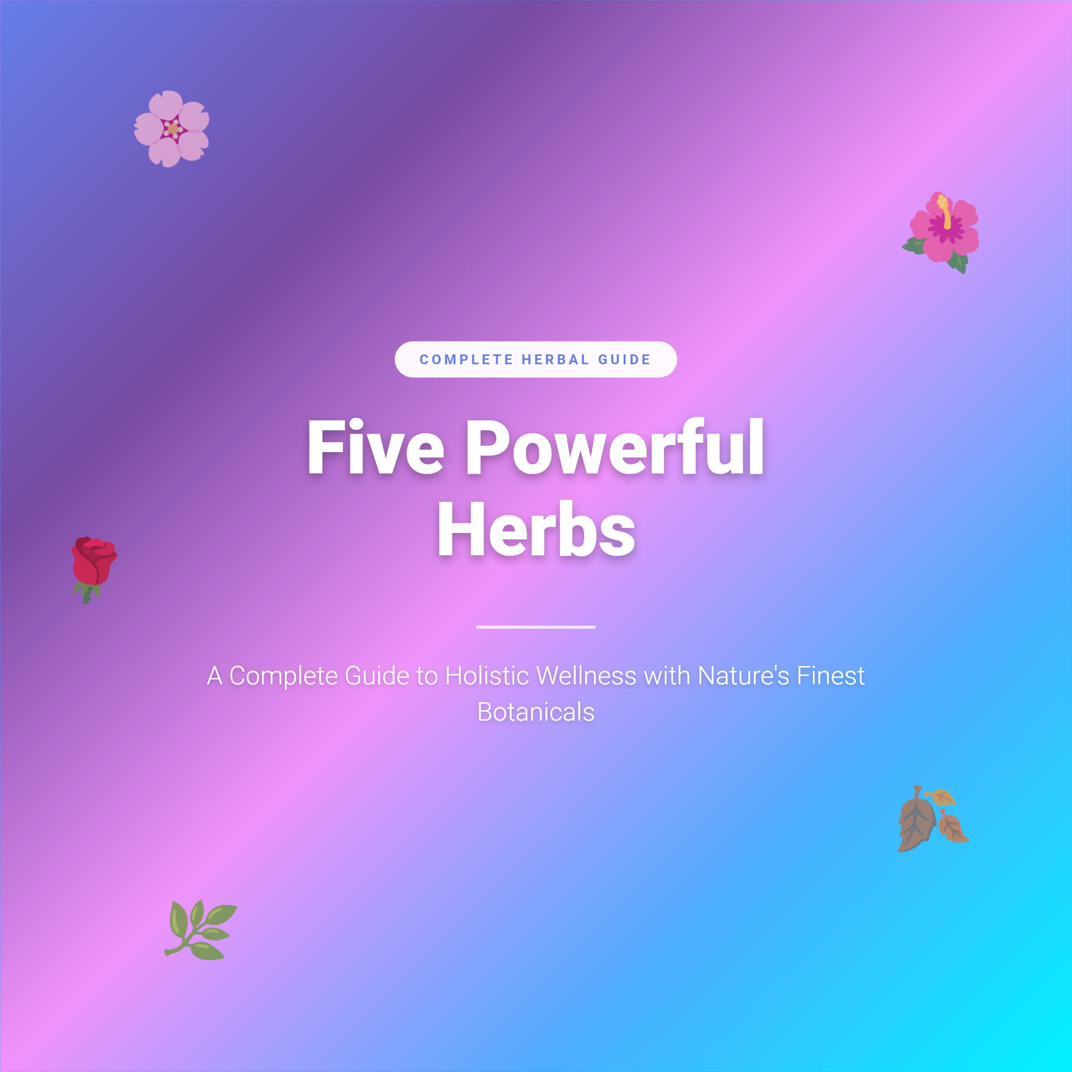 Five Powerful Herbs: A Complete Guide to Holistic Wellness