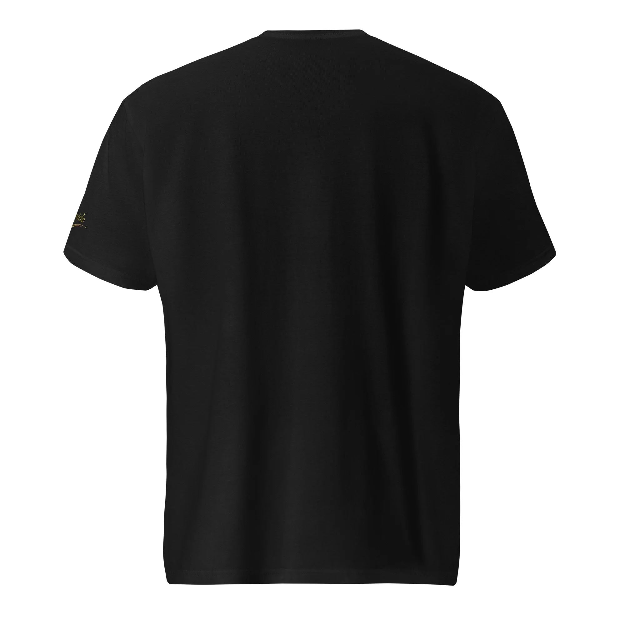unisex-lightweight-t-shirt-black-back-68b311d617ceb.jpg