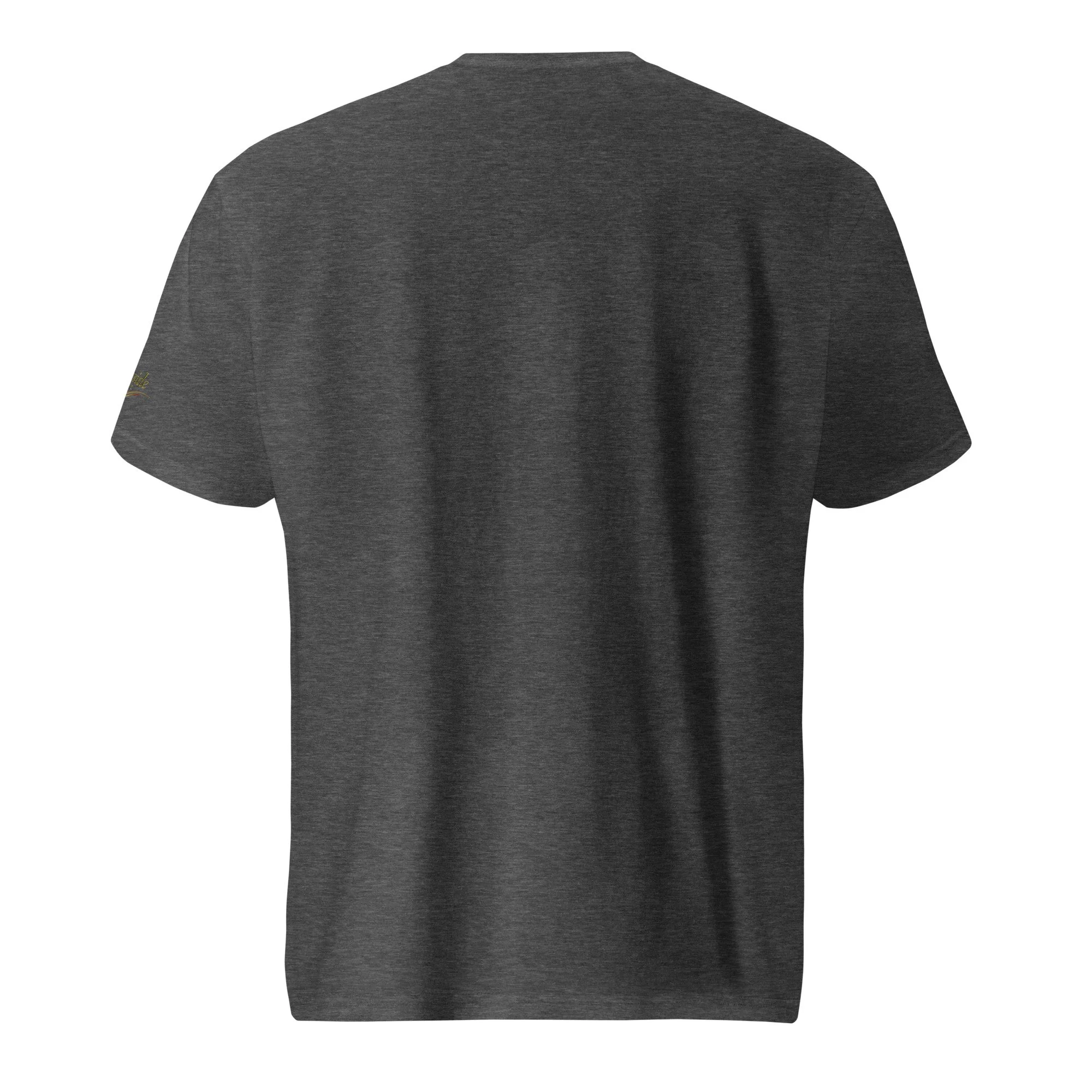 unisex-lightweight-t-shirt-heather-dark-grey-back-68b311d617d94.jpg
