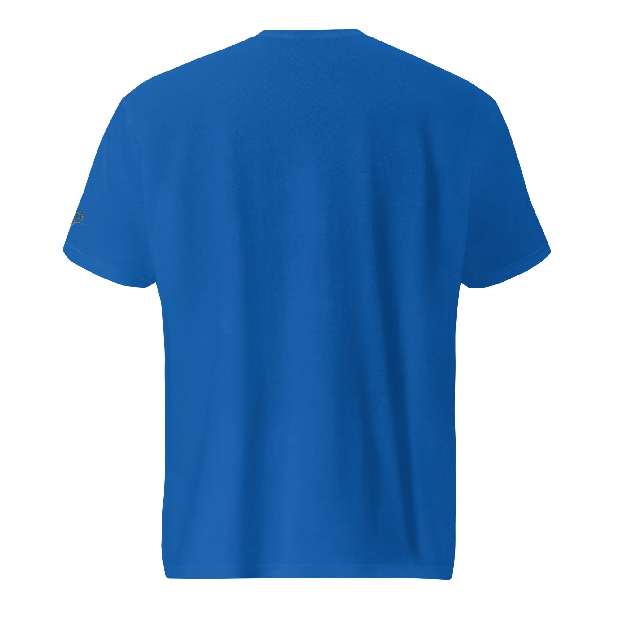 unisex-lightweight-t-shirt-royal-blue-back-68b311d617f2f.jpg