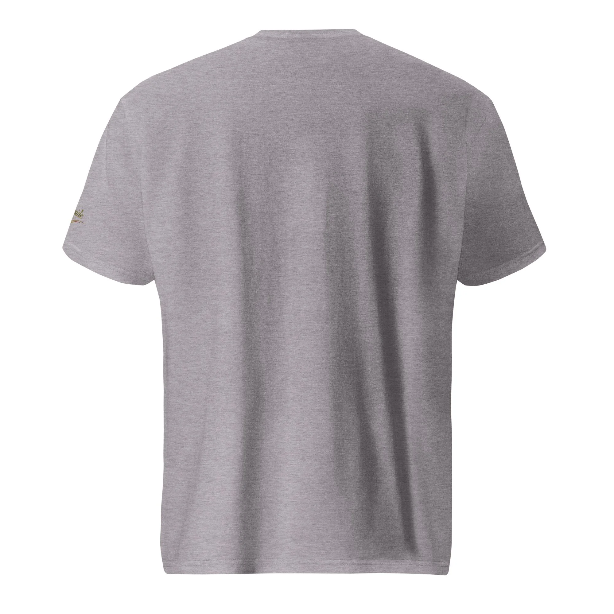 unisex-lightweight-t-shirt-heather-grey-back-68b311d617e19.jpg