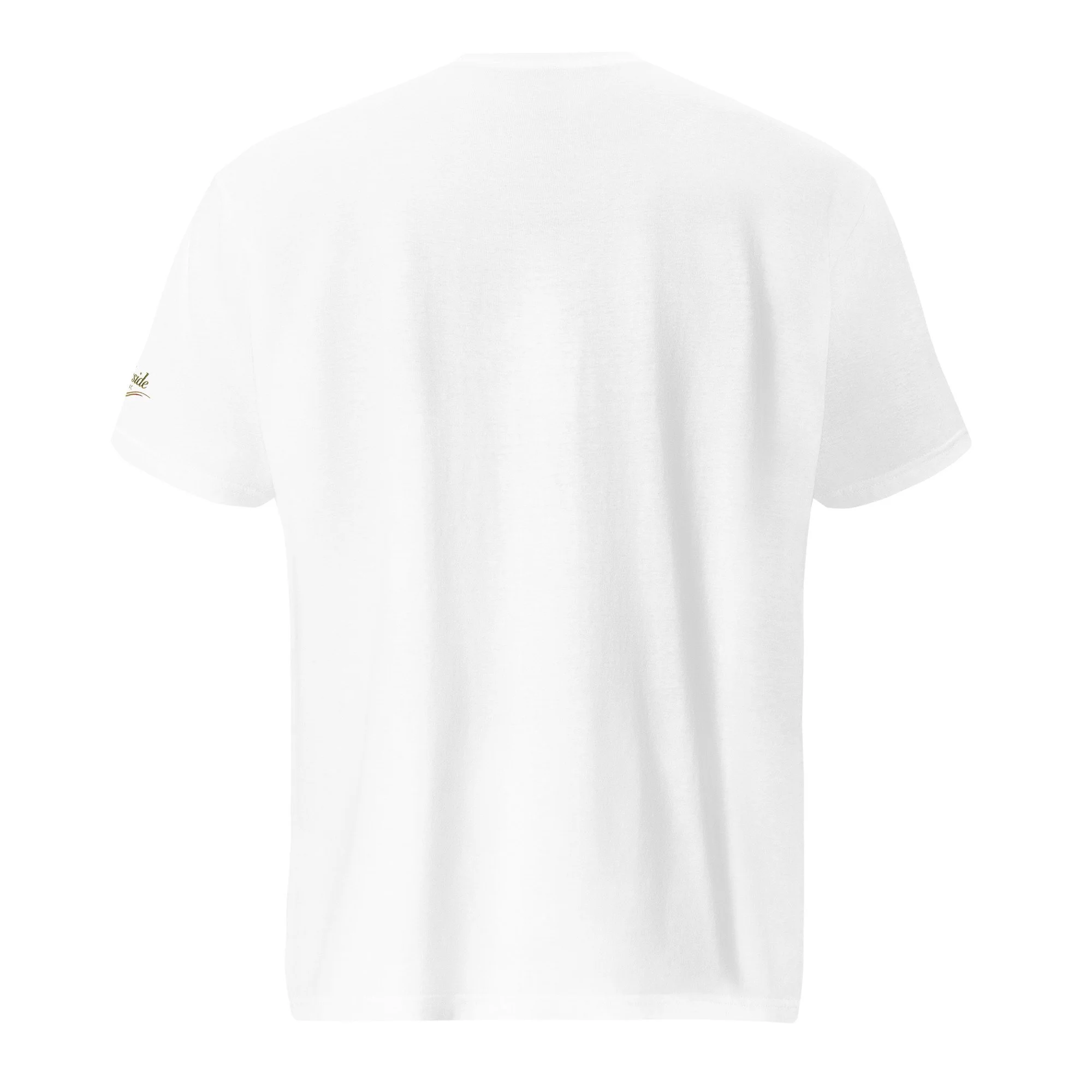 unisex-lightweight-t-shirt-white-back-68b311d617fab.jpg
