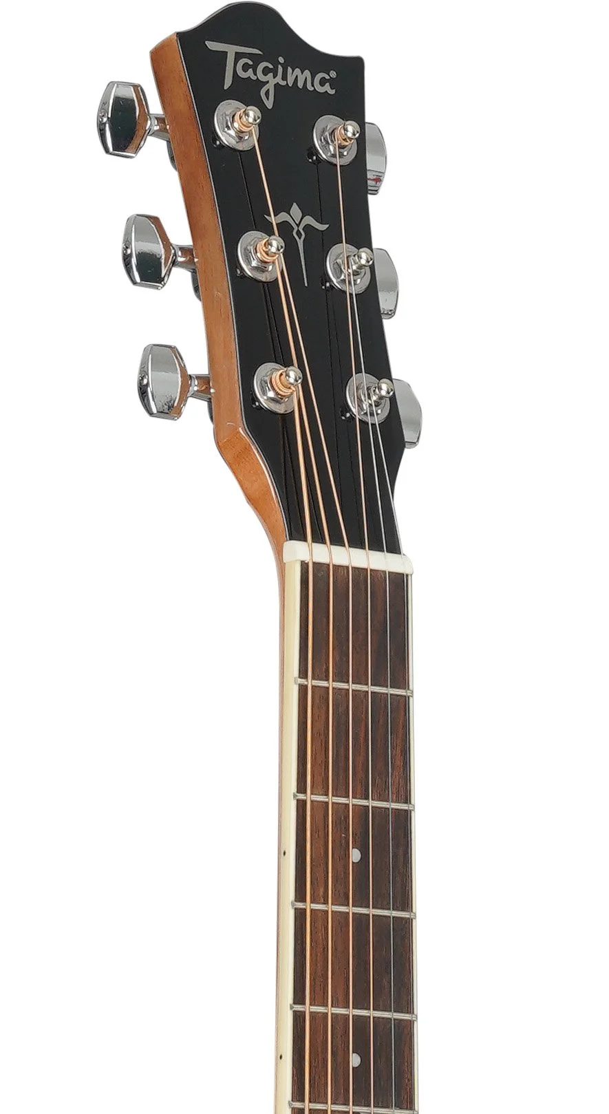 WS 25 BK HEADSTOCK.jpg