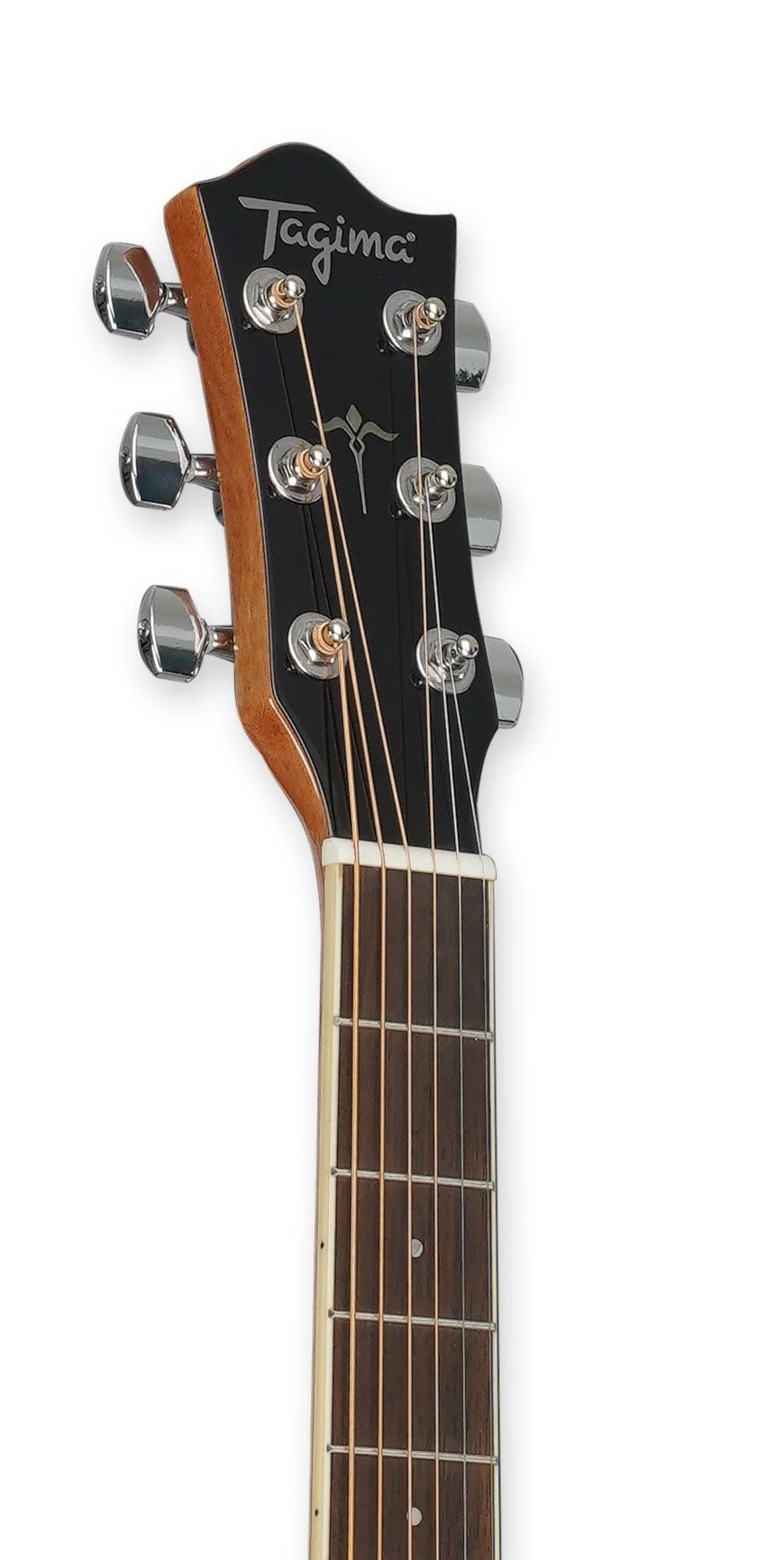 WS 25 NT heads.jpg