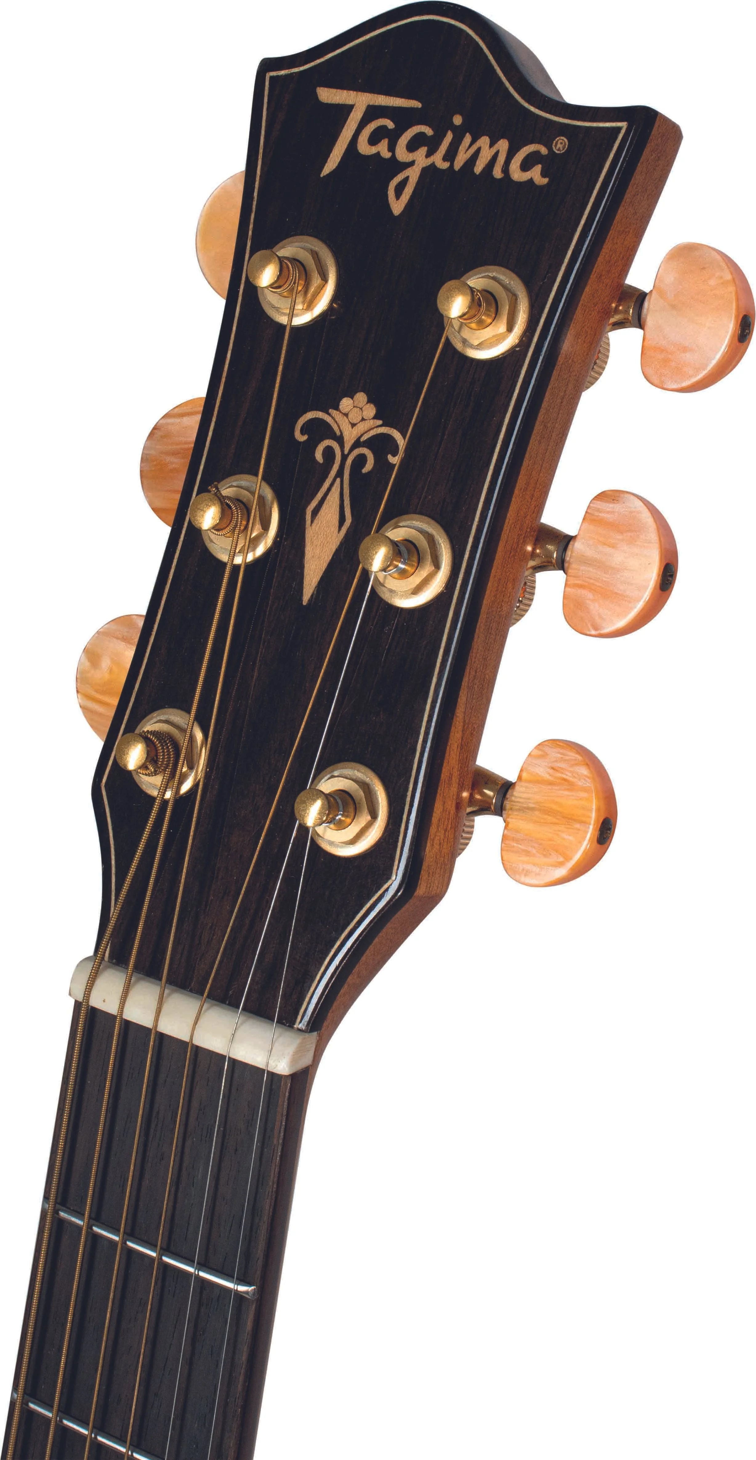 HEADSTOCK CF 2000.jpg