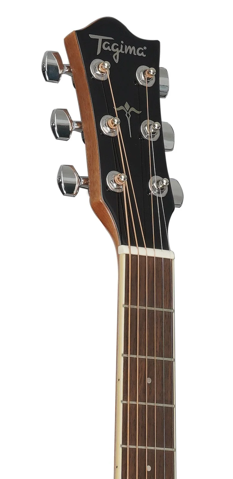 WS 25 VSB headstock.jpg
