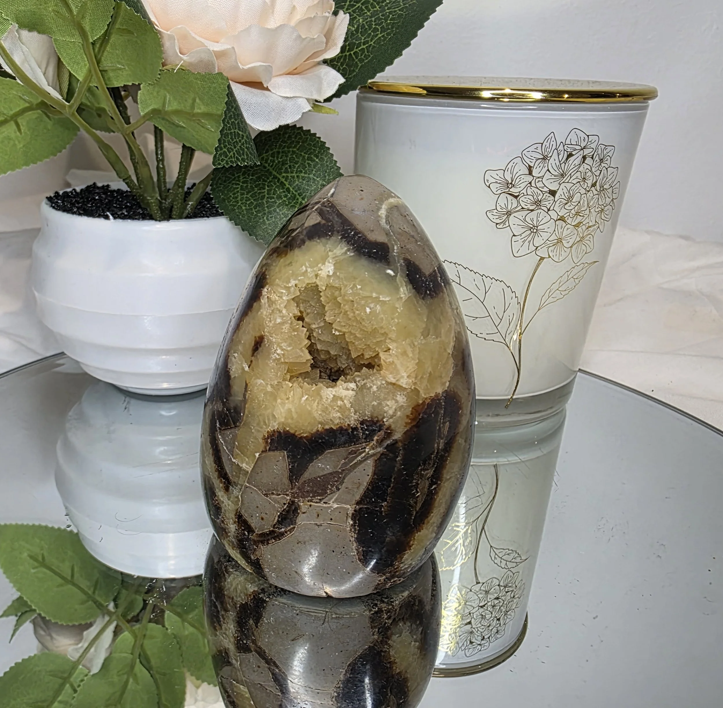 Septarium egg