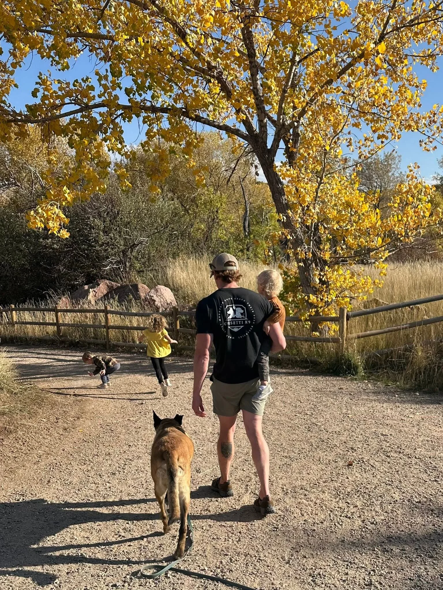 A man holding a small child and walking with a large dog at a park during autumn, with golden leaves on trees and a clear blue sky.
