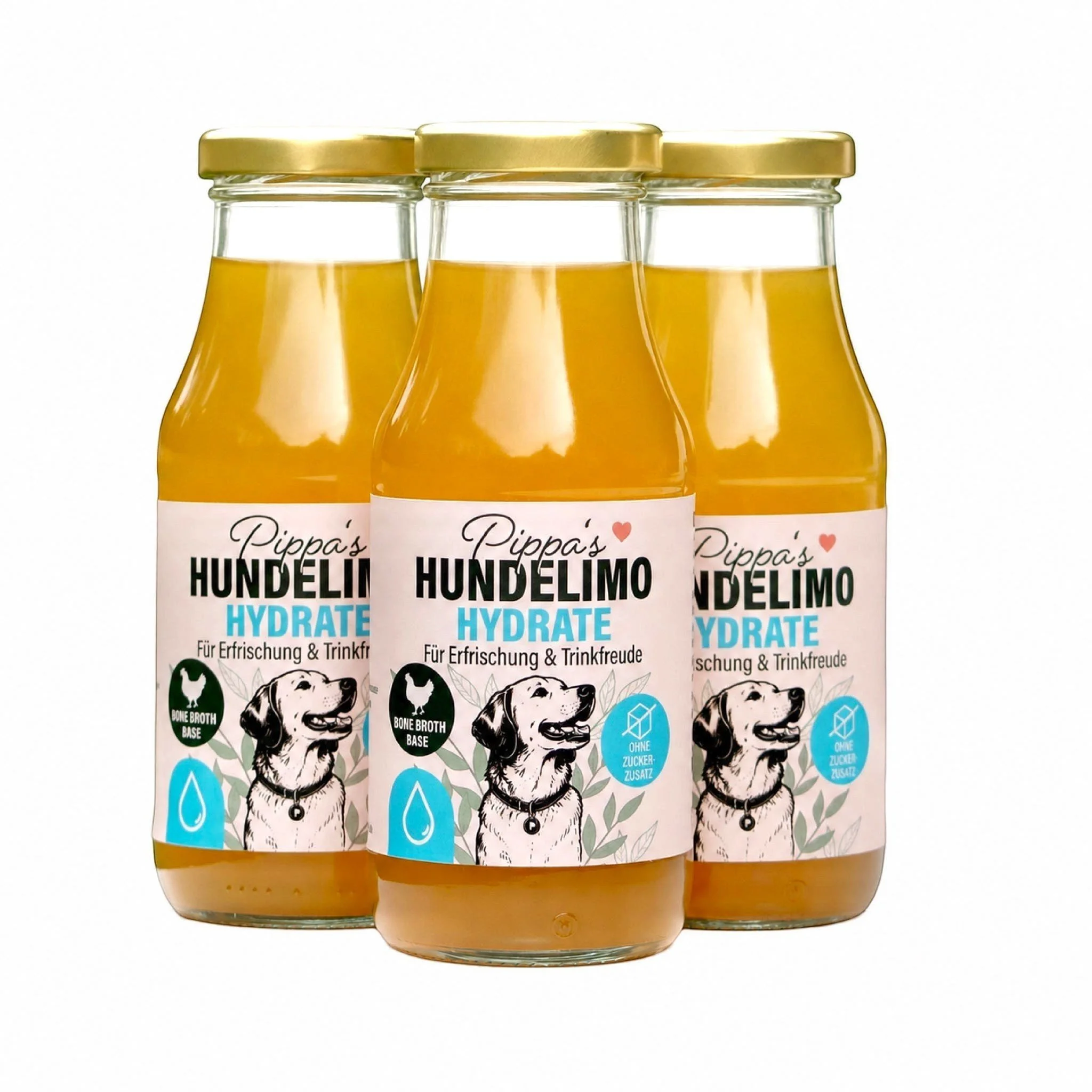 pippas-hundelimo-hydrate-knochenbruehe-fuer-hunde_1d1407fe-3aaf-4443-b95c-061428824103.jpg