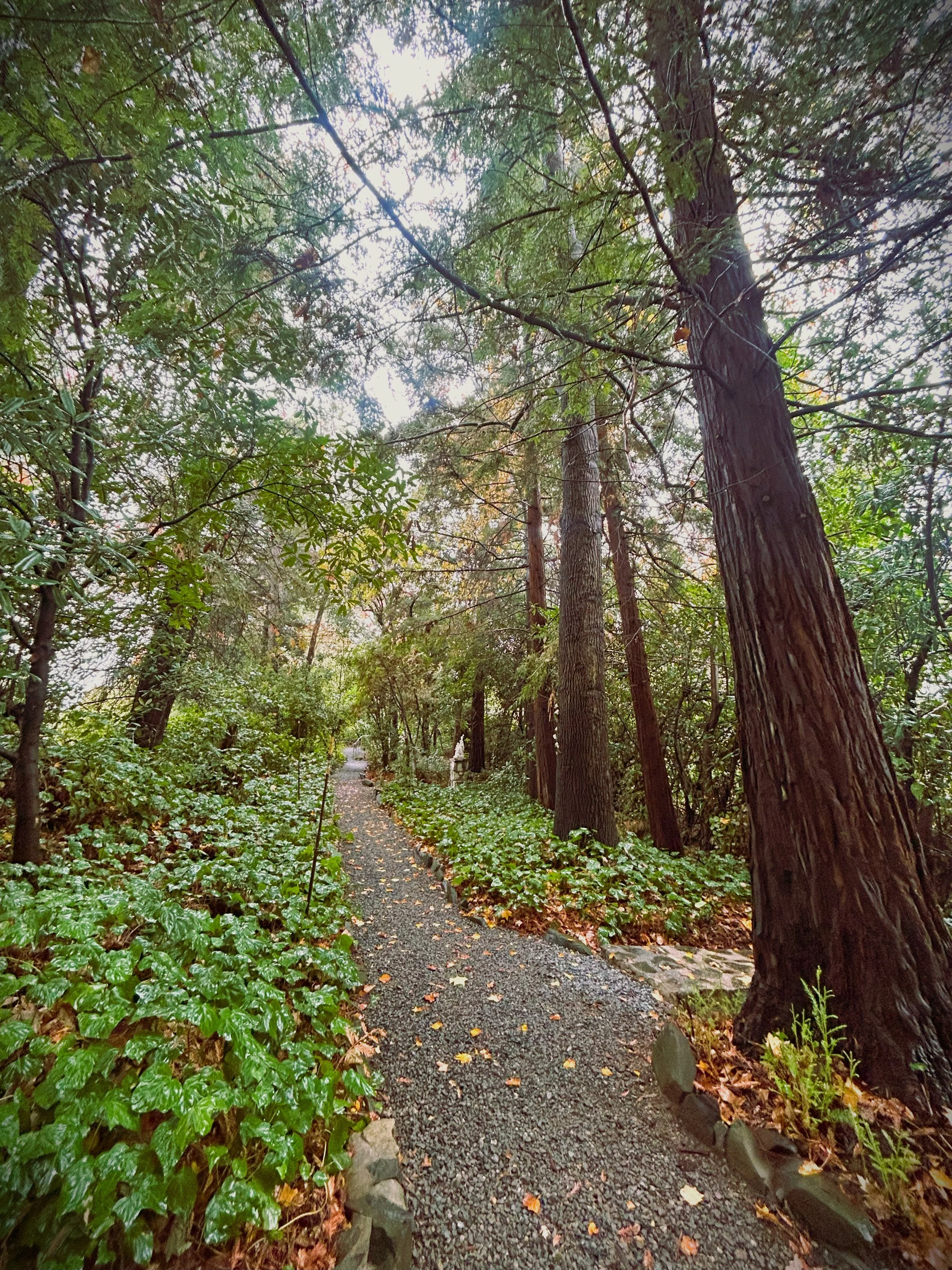 stations path.jpg