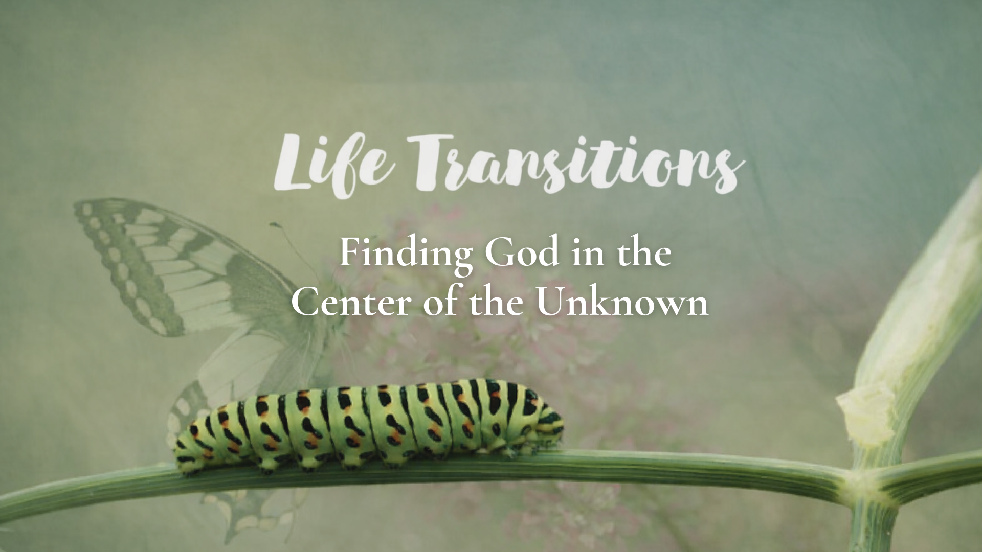 Life Transitions: Finding God in the Center of the Unknown