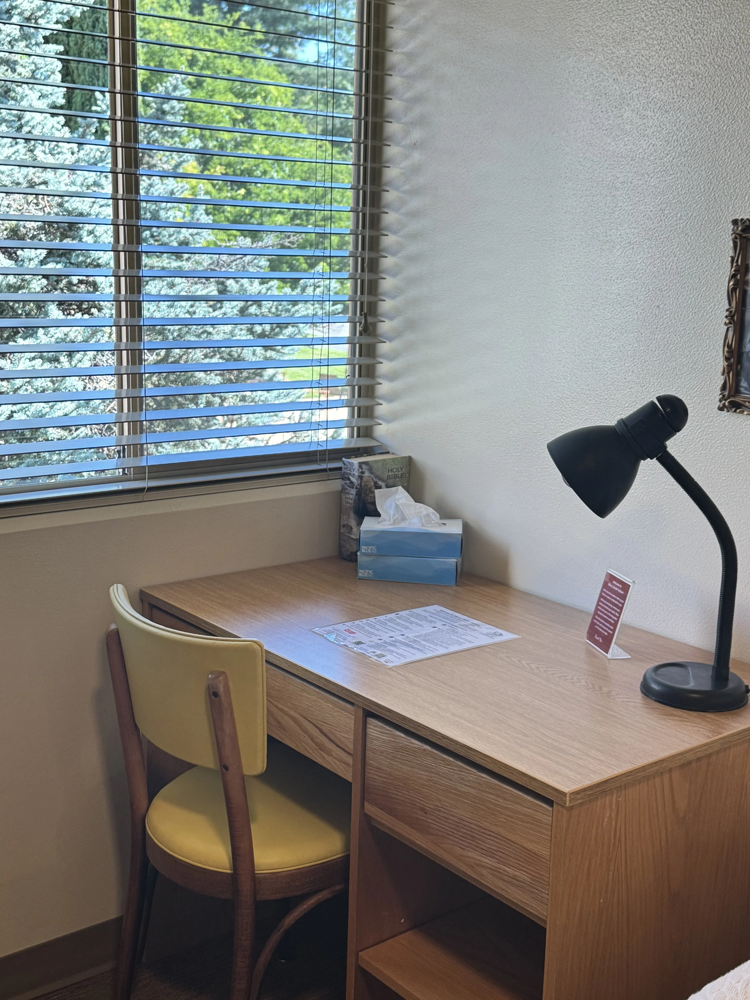 Desk with lamp.