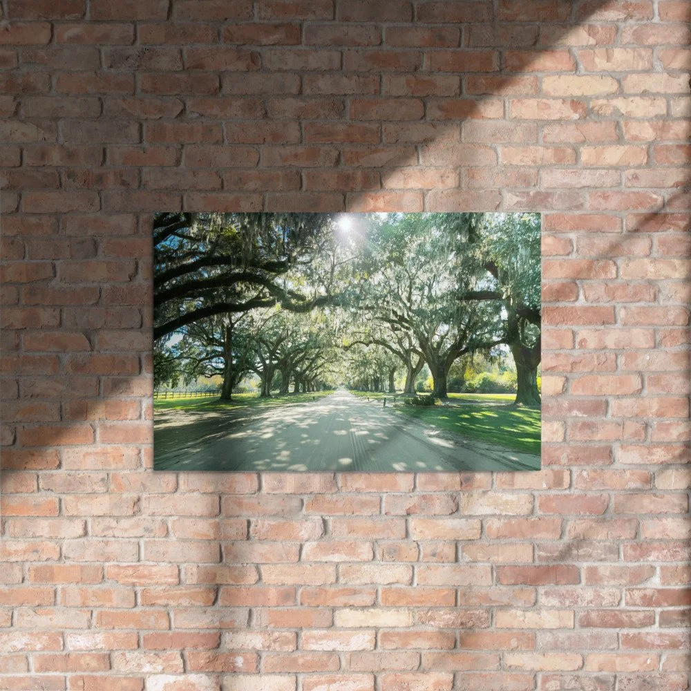 glossy-metal-print-(in)-white-20x30-front-69c93a276c0c1.jpg